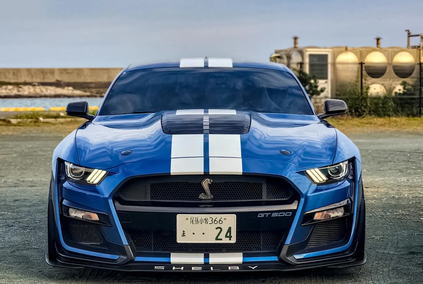 マスタングミーティング👍