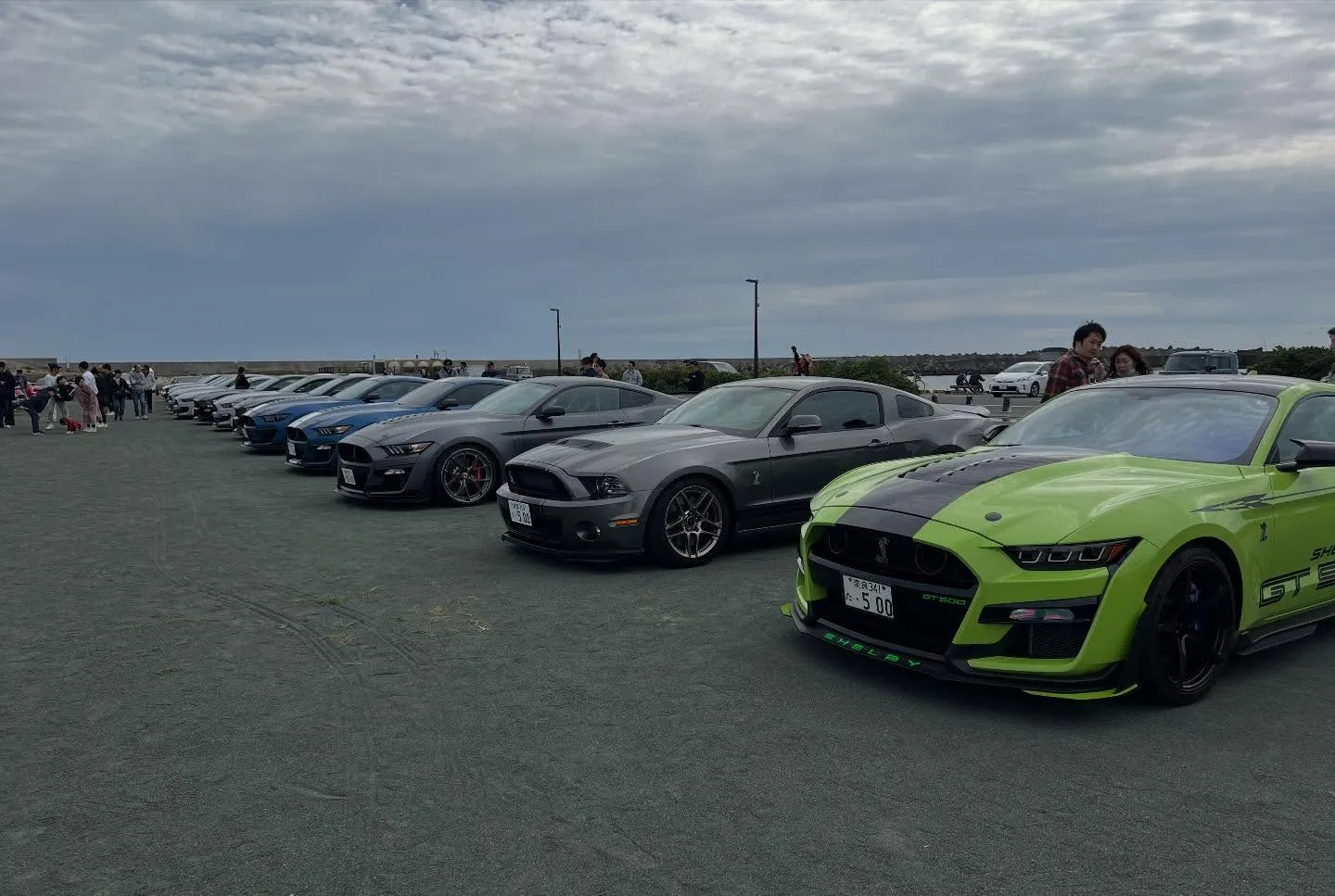 マスタングミーティング👍